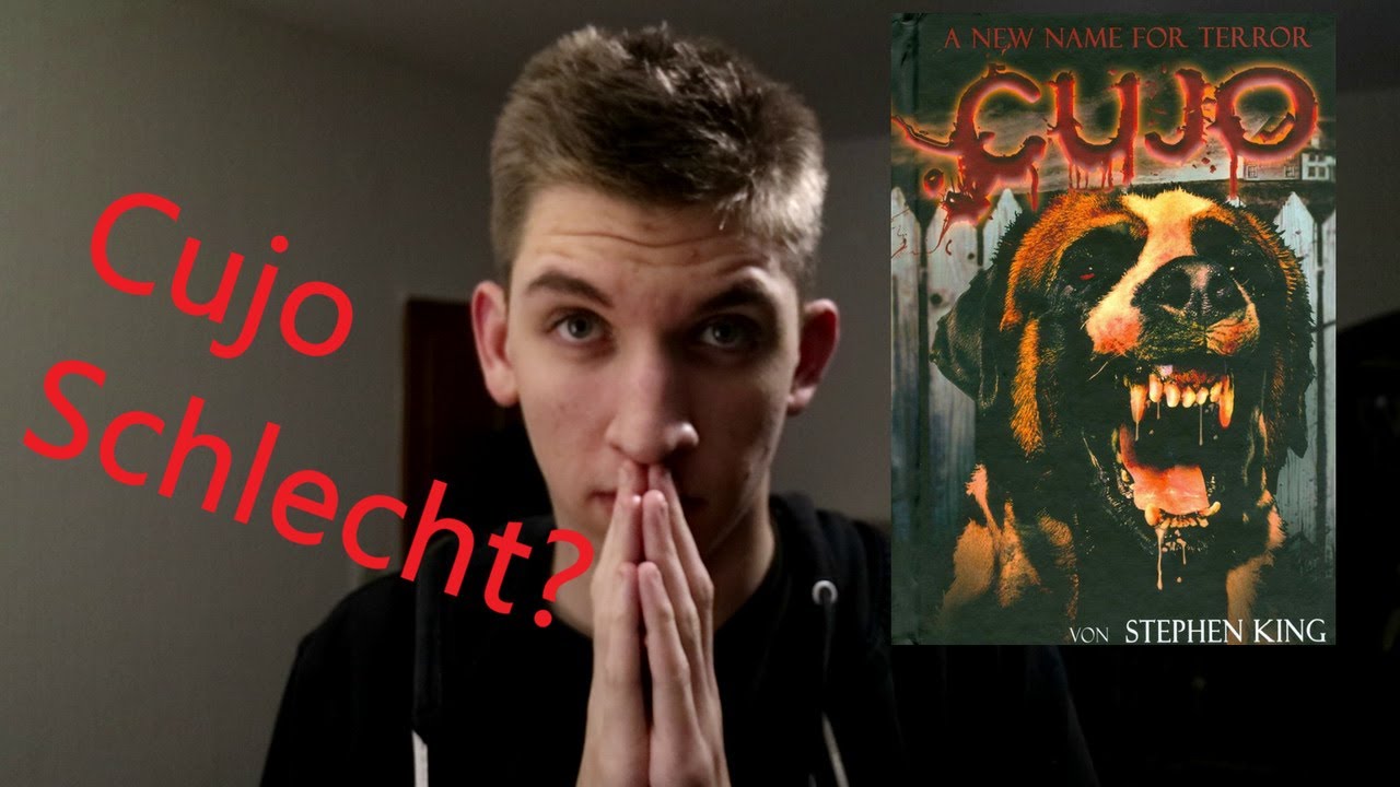 Cujo Überbewertet?! | Stephen King RANKING 4