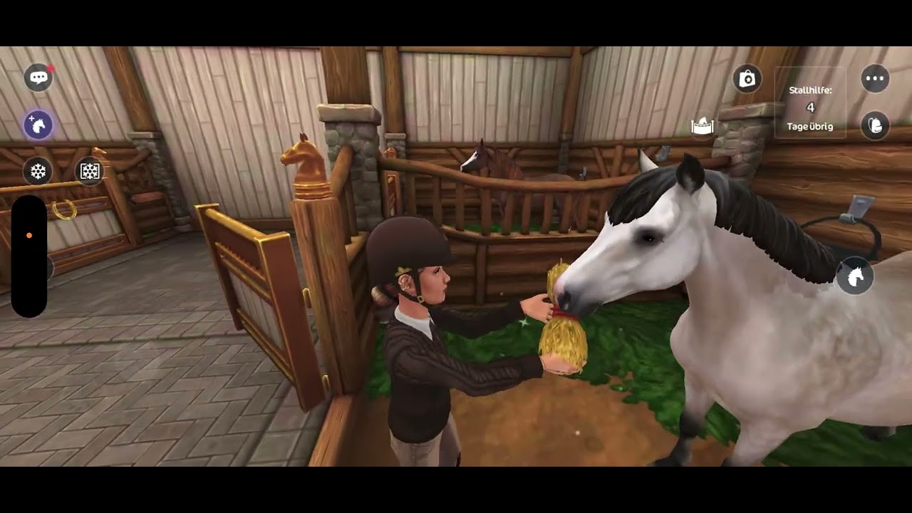 SSo Pferdekauf | Connemara Pony | 🛒🤑😍