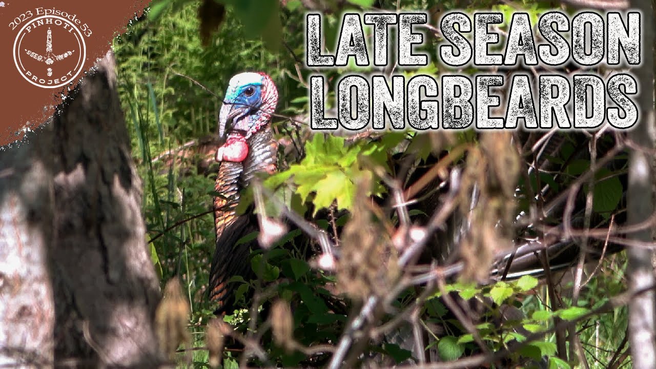 NEW YORK TURKEY HUNTING | YELPING GOBBLERS to the LINE | the MOST UNLIKELY THING- Pinhoti 2023