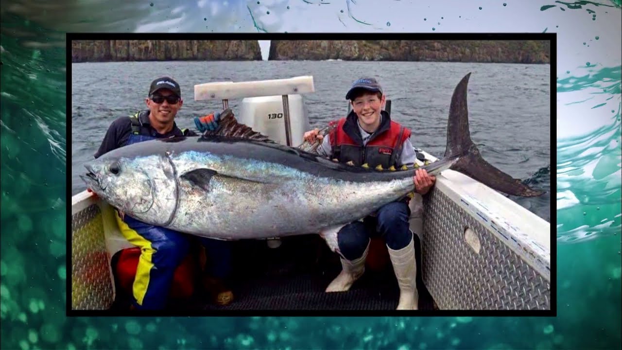 IFISH - World Record Southern Blue Fin Tuna?