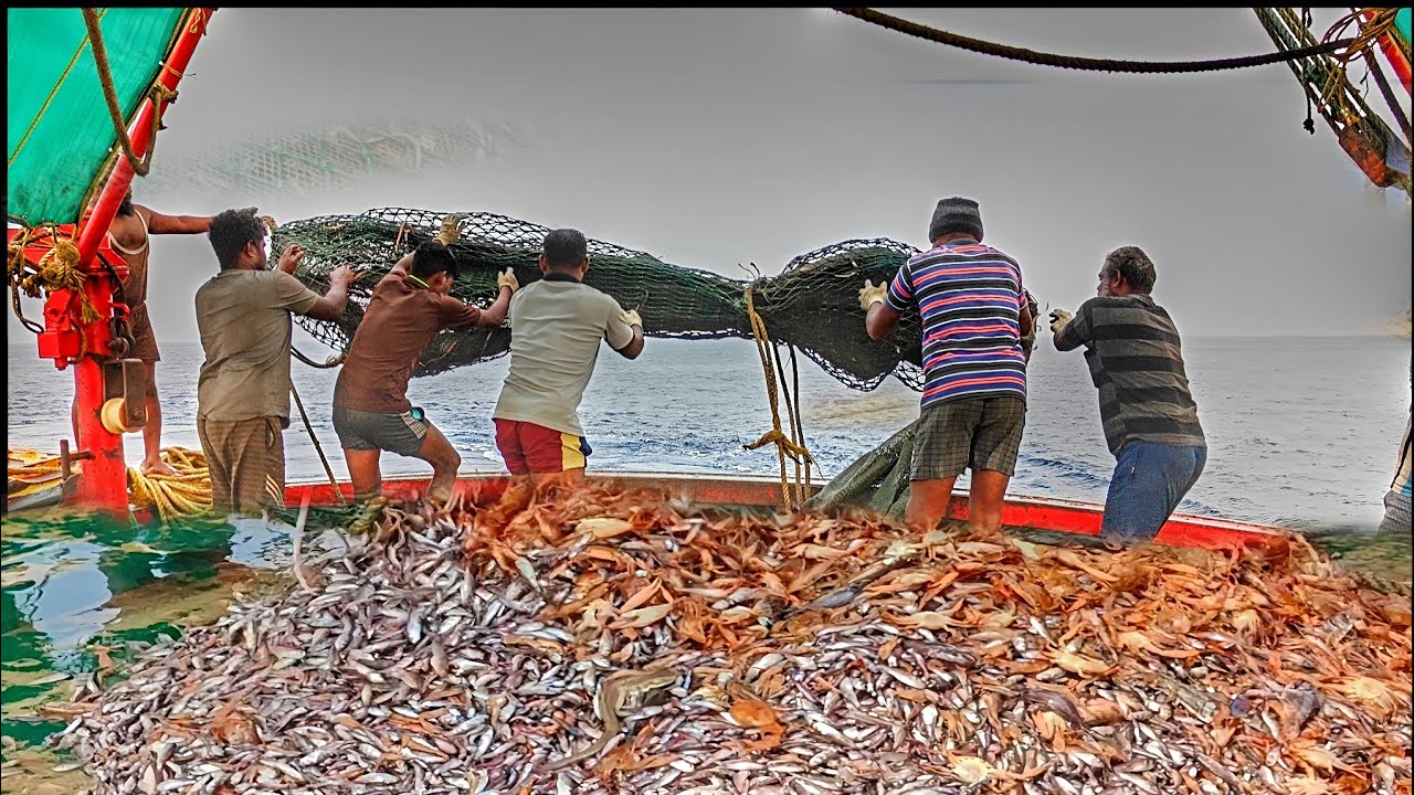 07Day Fisherman's Survive in the Arabian deep sea caught lot's of fishes|#mandapammeenavan 