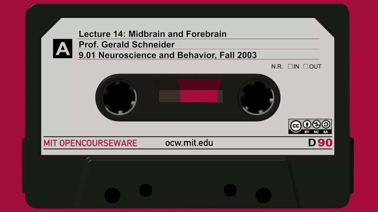 Lecture 14: Midbrain and Forebrain