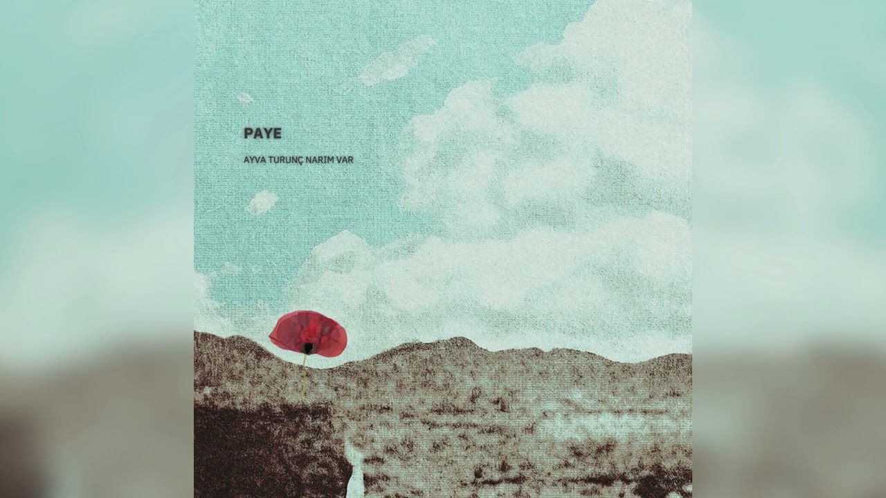 PAYE - Ayva Turunç Narım Var (Official Audio)