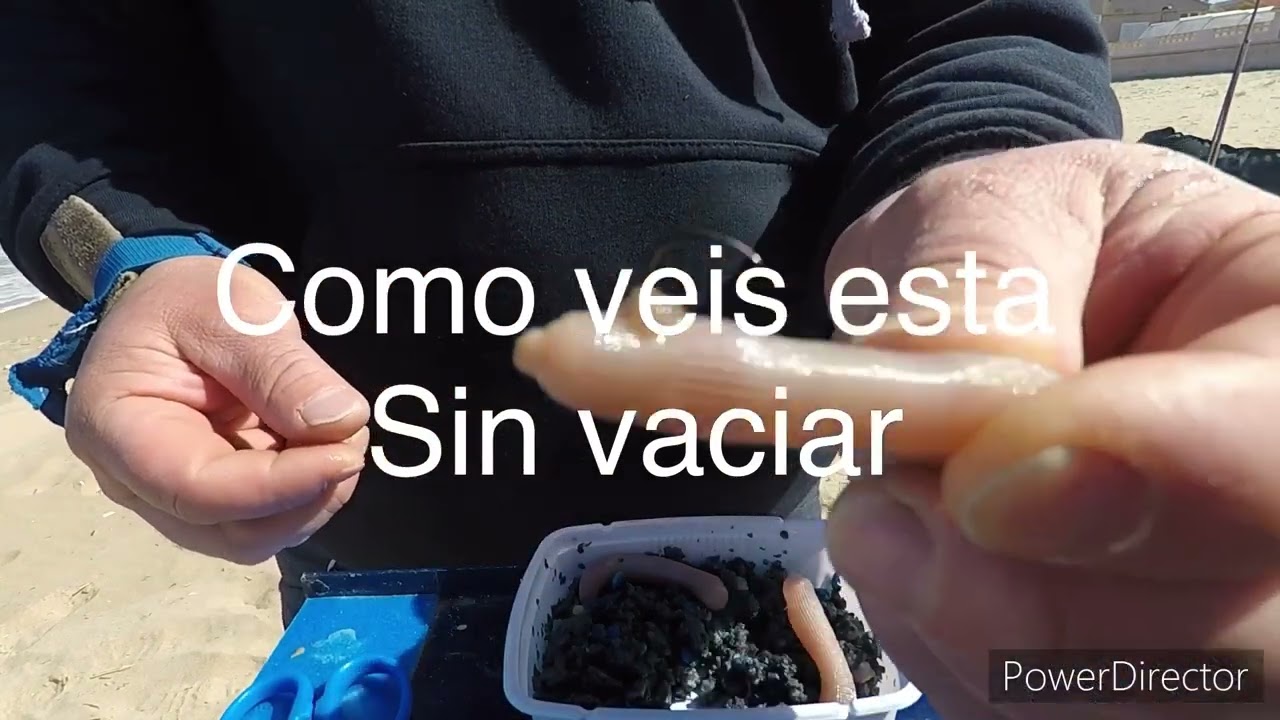 LA TITA                                COMO CEBAR