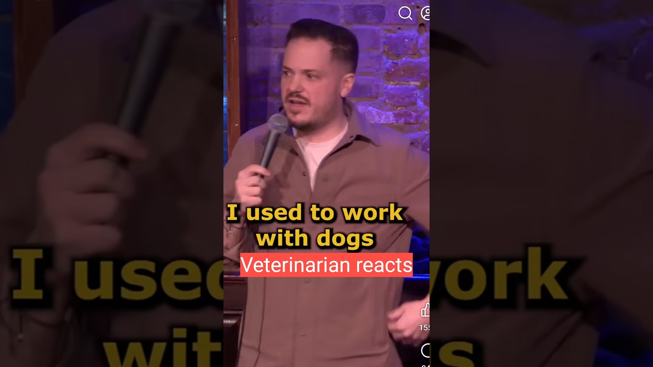 Реакция ветеринара на выступление комика #собака #ветеринар #стендапкомедия