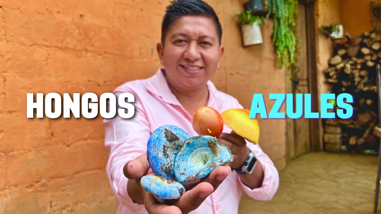En busca de los hongos azules ¡No sabía lo deliciosos que son!