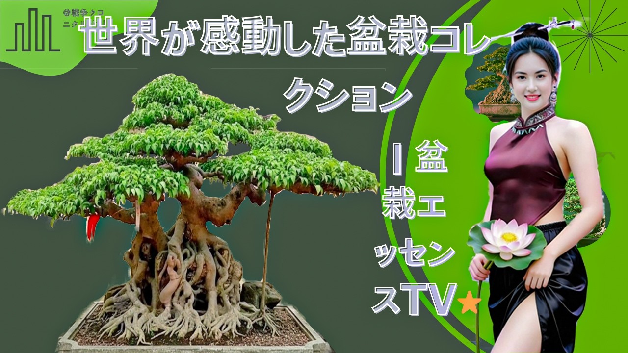 世界が感動した盆栽コレクション｜盆栽エッセンスTV