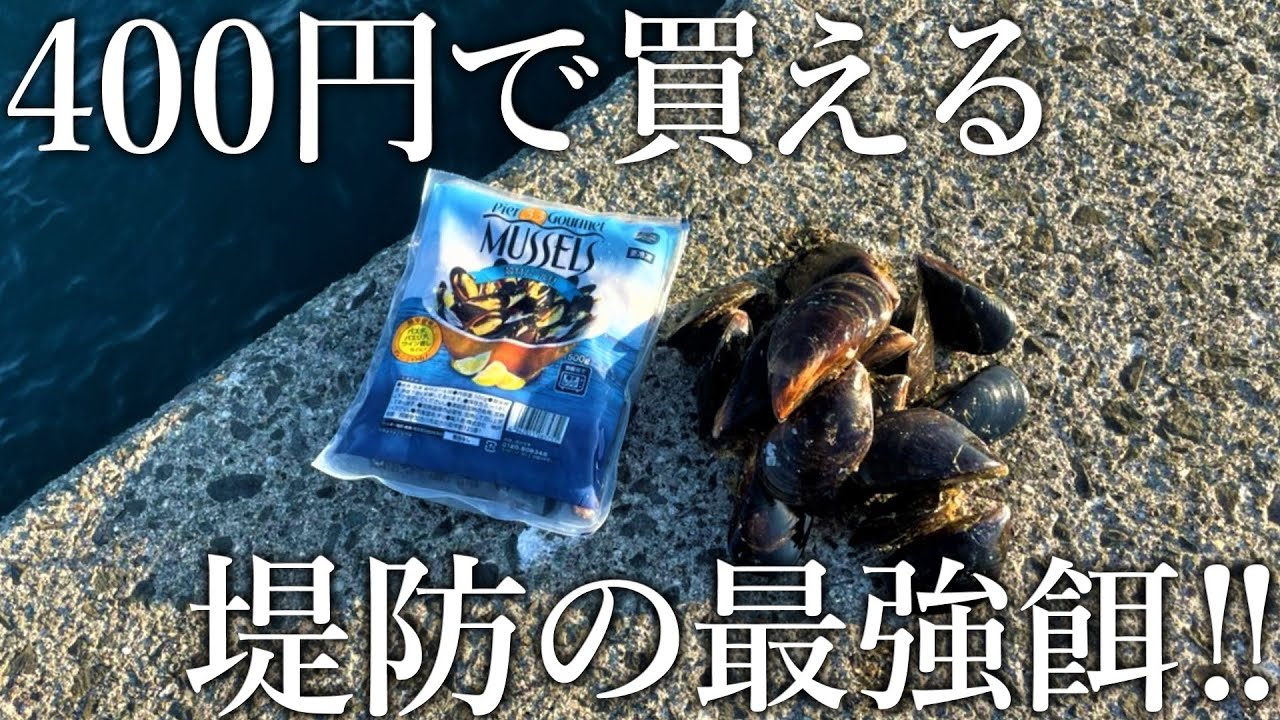 業務スーパーの冷凍ムール貝を足元に落とすだけ！近海の大物レア魚が釣れました【正海チャンネル・バラシスタ／かぶせ釣り】