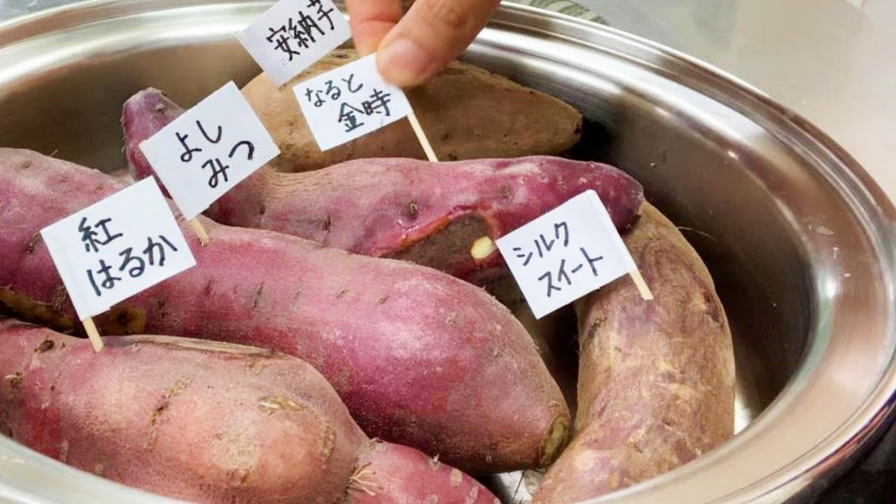 ４種類の焼きいも どれが一番か比べてみました！#221