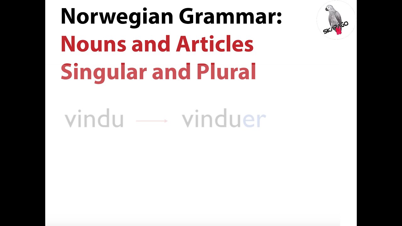 Norwegian Grammar: Nouns and Articles - Singular and Plural