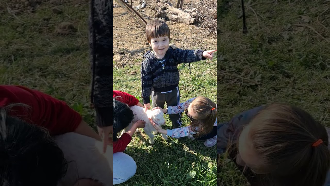  🥰 #kanalımıza abone olup beğenirseniz çok mutlu oluruz iyi seyirler🥰 #keşfet#beniöneçıkar#doğa#köy#
