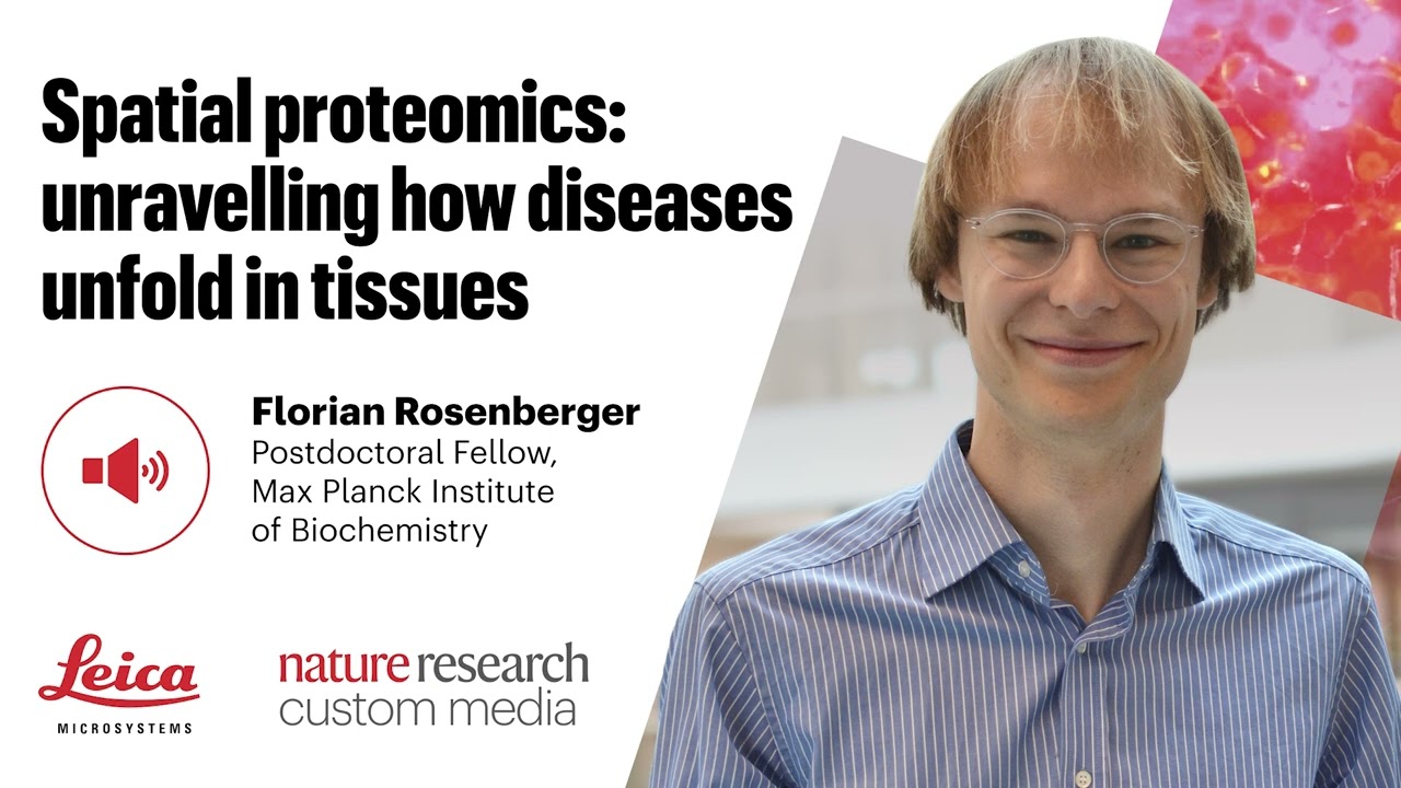 Spatial proteomics: unravelling how diseases unfold in tissues