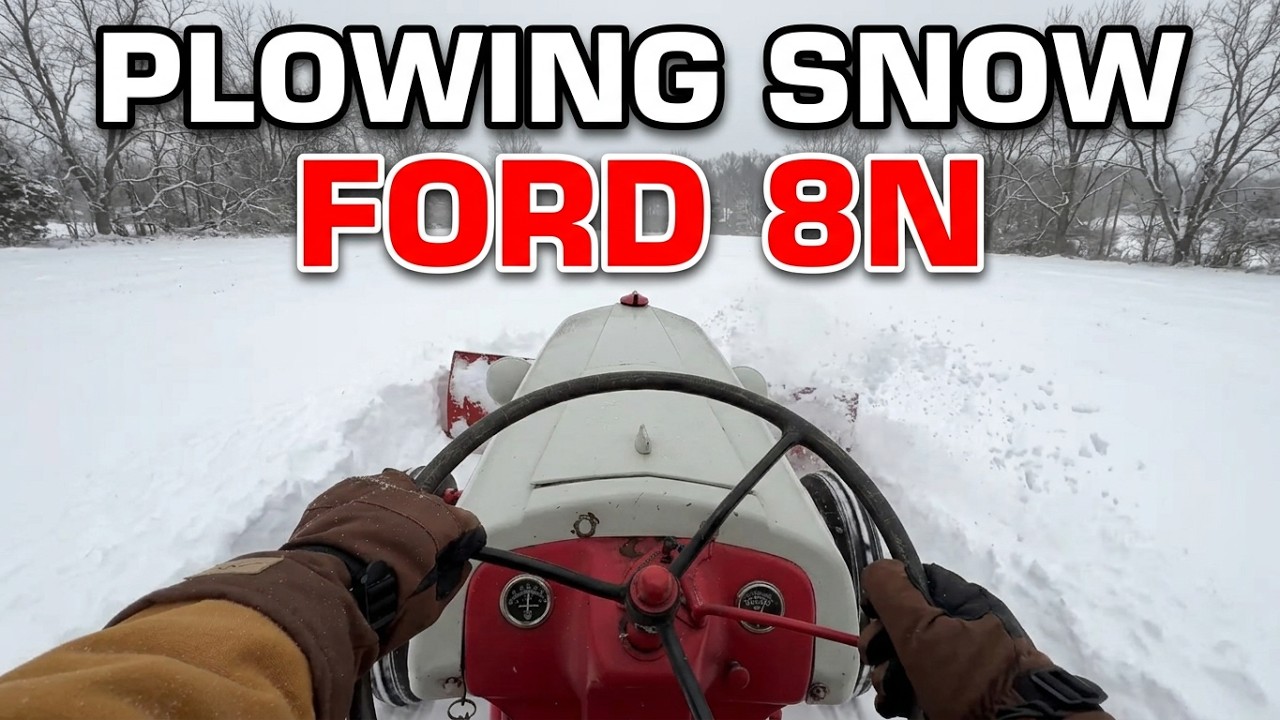 Ford 8N Plowing Snow with NO Issues!