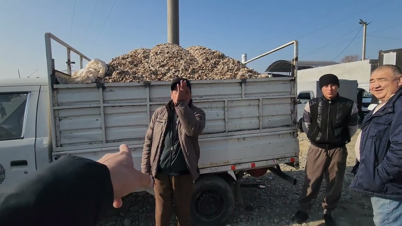 SAMARQAND PASTDARG'OM JUMA QUVUCHOQ NARXLARI