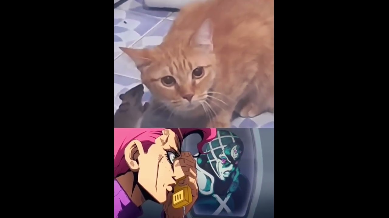 Послушай, Доппио... #jojo#memes#cat#jojosbizzareadventure