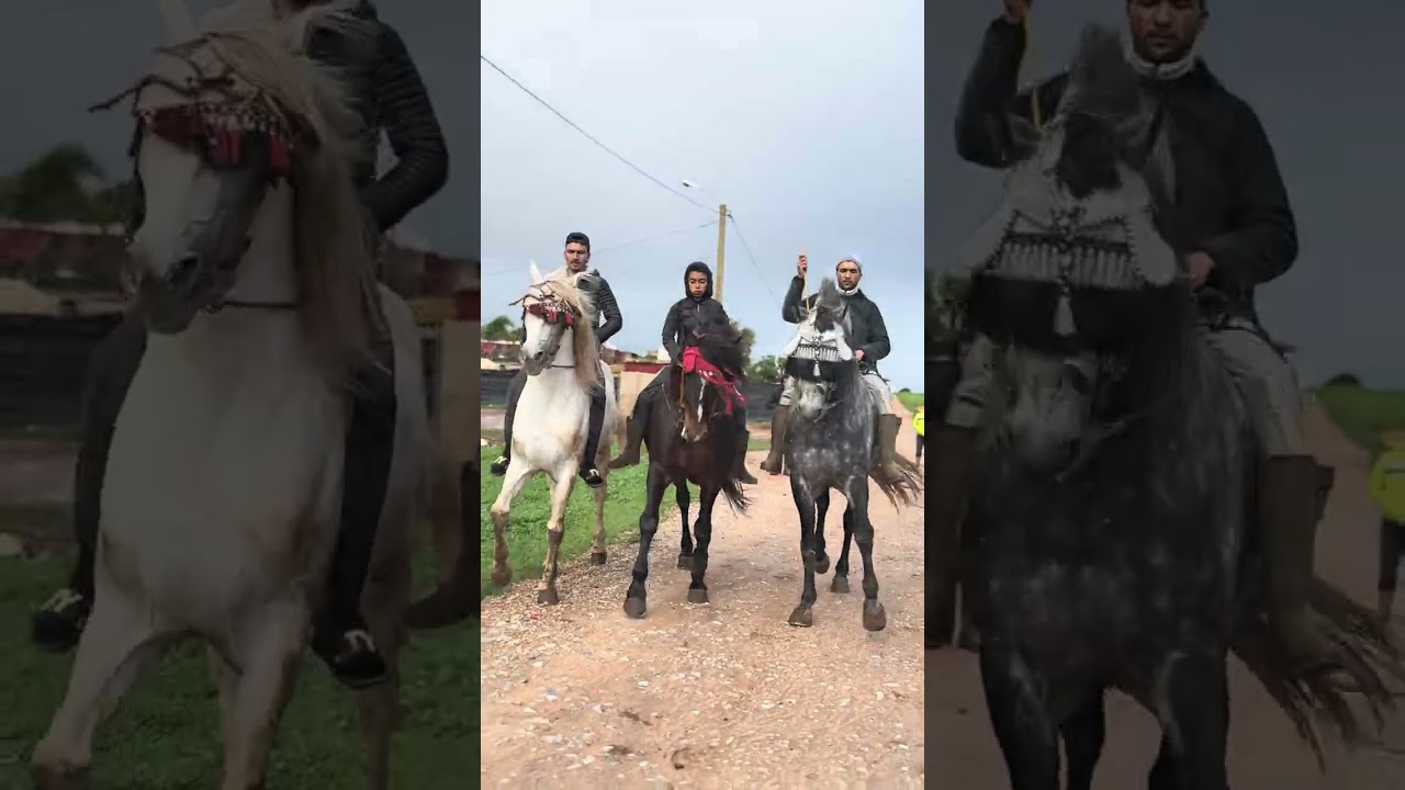 كنتواجدو عند الاخ المقدم  سعيد العتيبي