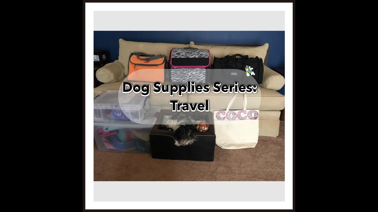 Dog Supplies Series 1: Travel