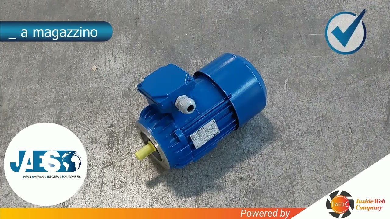 MEP IP55 INS.CL.F S1 (INSTOCK) MOTOR - MOTORE