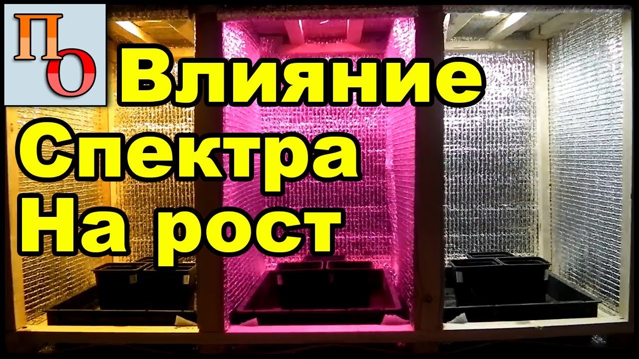 Фитосвет - обман века!