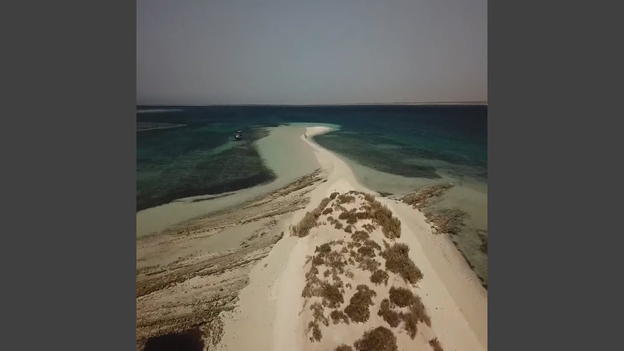بالله ياهل العياده