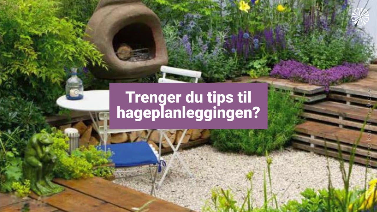 Stauder &ndash; hvilken plante hvor