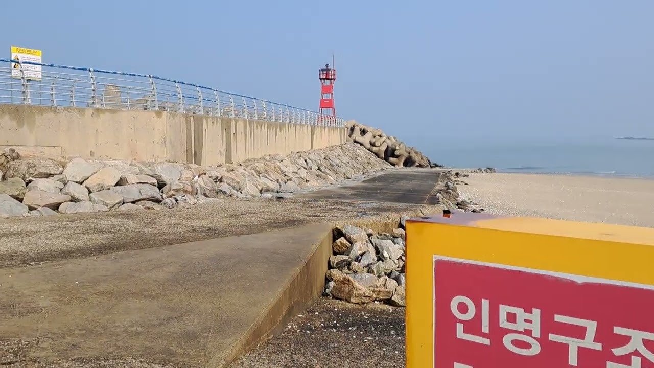 동호항리포트