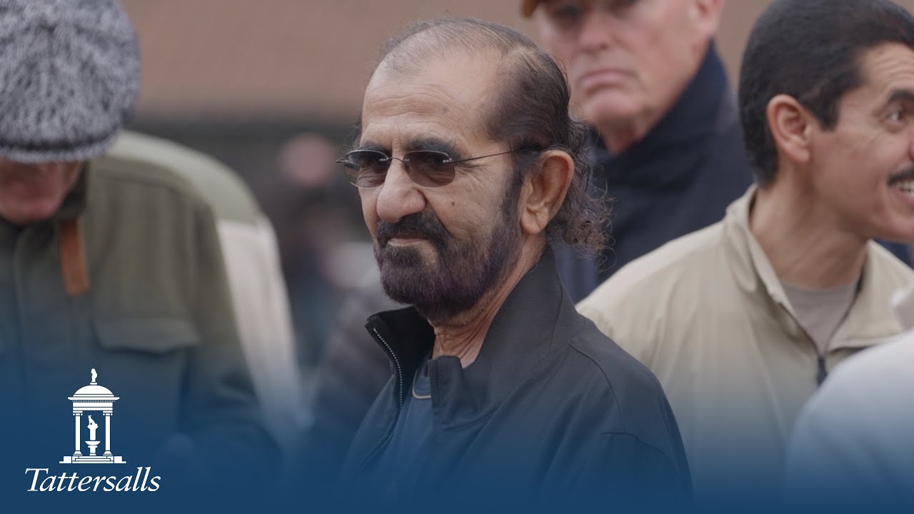 Tattersalls October Yearling Sale Book 1 Day 1 2025 Review