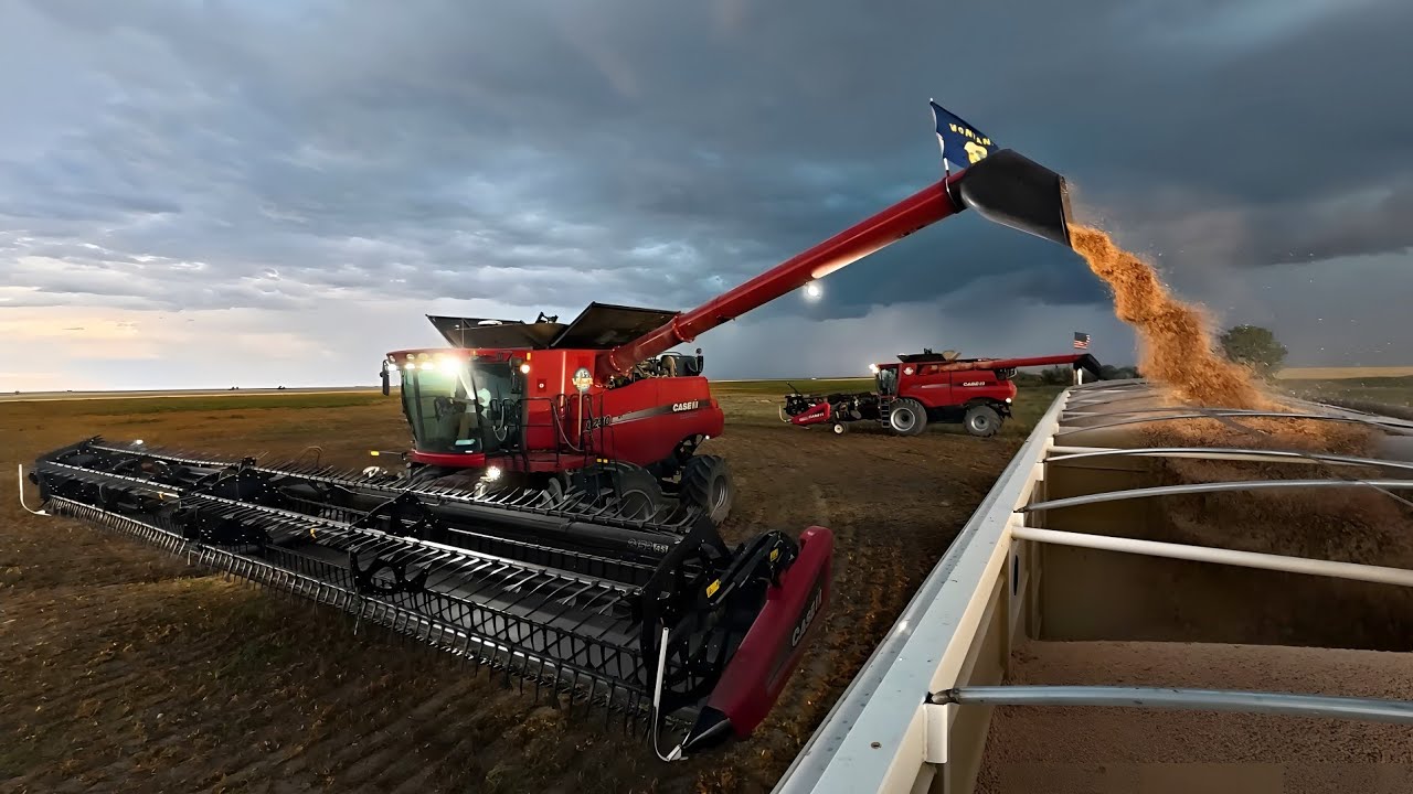 Big Storm Approaching! Unload and Hunker Down! Harvest Has Begun! 