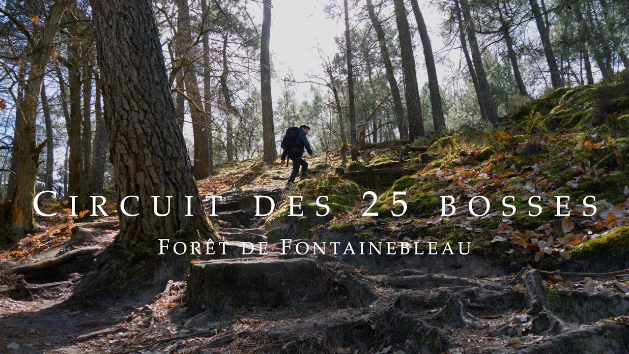 Randonnée en solitaire sur le circuit des 25 bosses à Fontainebleau
