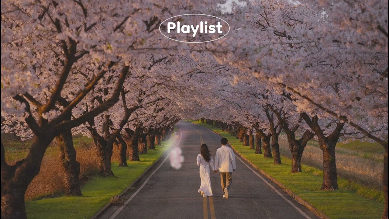 [𝐏𝐥𝐚𝐲𝐥𝐢𝐬𝐭] 봄바람 부는 날🎧이어폰 하나면 여기가 바로 벚꽃길🌸 | Sweet Spring Pop