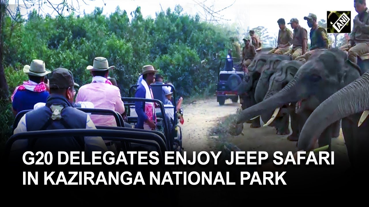 Assam: G20 delegates visit Kaziranga National Park, enjoy jeep safari