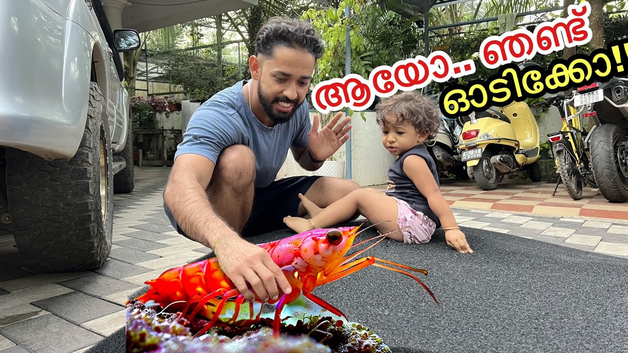 🔥കുട്ടികൾക്ക് കളിക്കാൻ ഞണ്ടിനെ മേടിച്ചു.. | kids love them!!!
