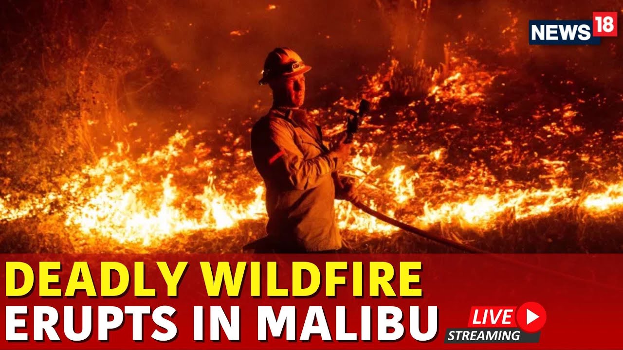 Malibu Wildfire Live | Firefighters In US Battling Wildfire In Malibu | Malibu Deadly Wildfire Live