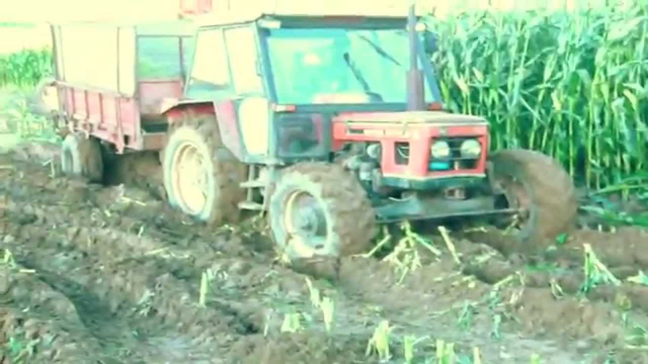 Mokre Koszenie kukurydzy :D Ursus, 2x New Holland, 2x Zetor, Belarus,