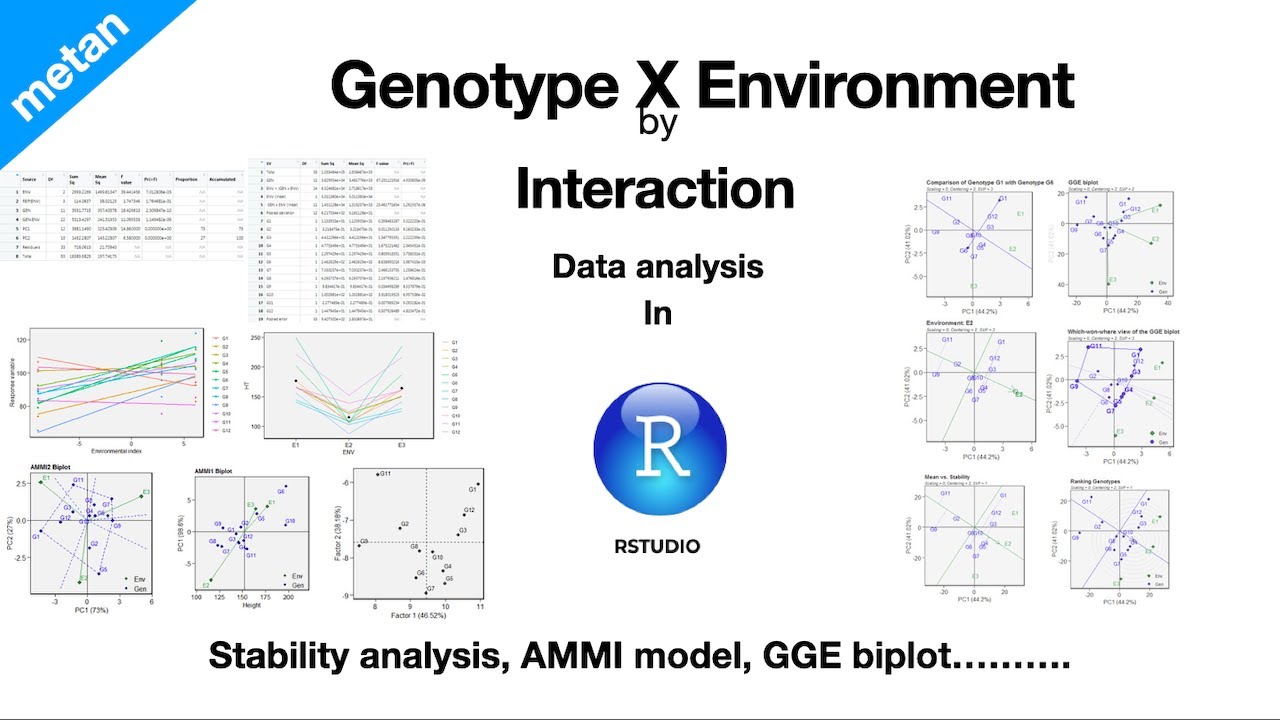 Stability analysis in R | Genotype X Environment interaction | Fixed effect models (AMMI) | GGE plot