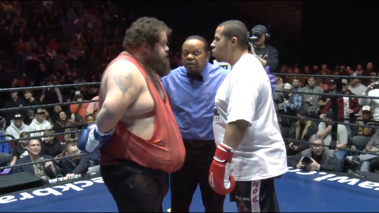 Дикая драка между котом и диким кабаном!