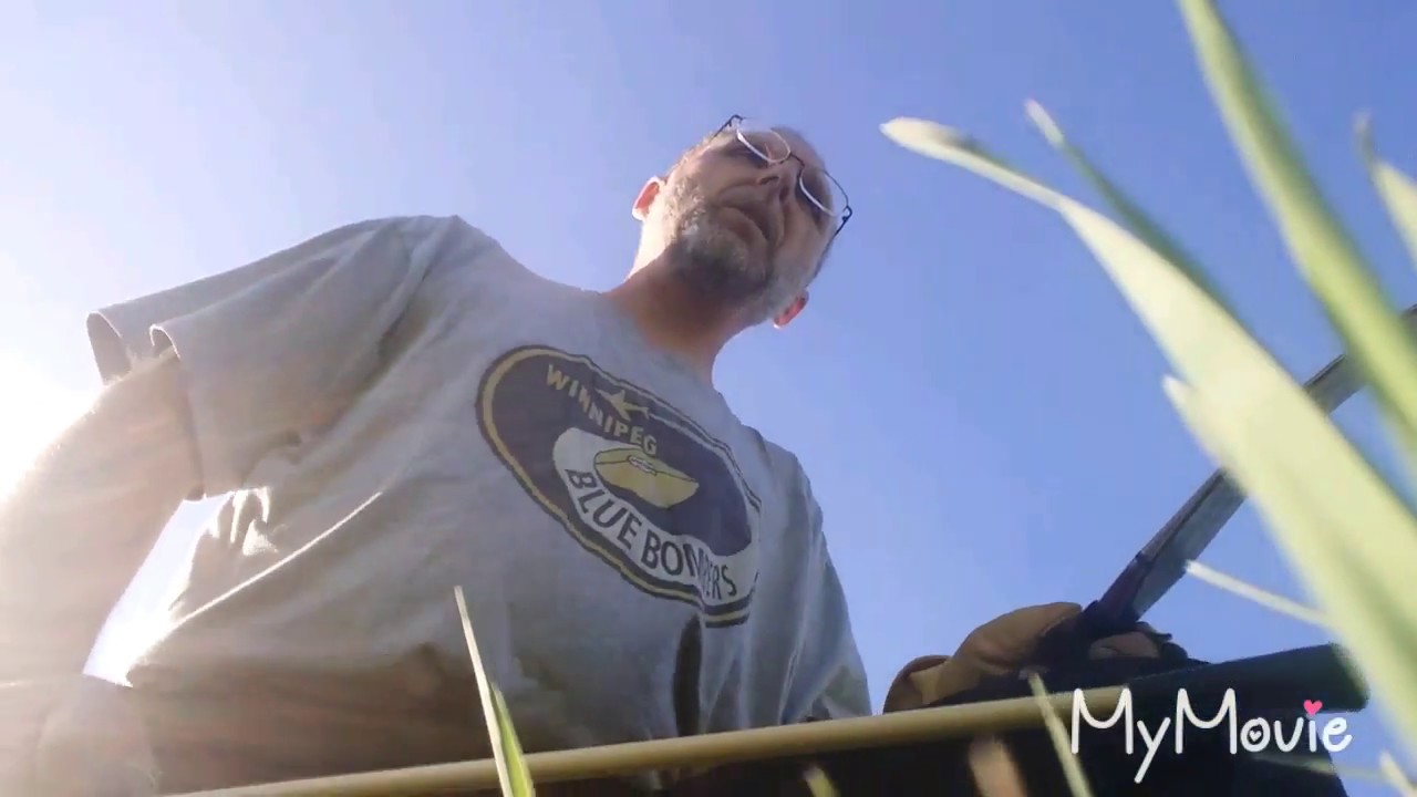 Archery Vlog.  June 10 2018. Turkish/viking archery .using Af archery turkish style 25@28 bow
