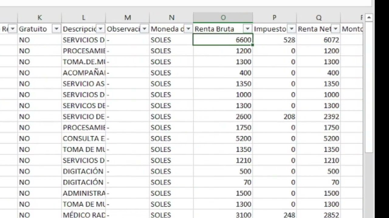 CARGA MASIVA DE RECIBOS DE HONORARIO RH PLAME CON MACRO EN EXCEL