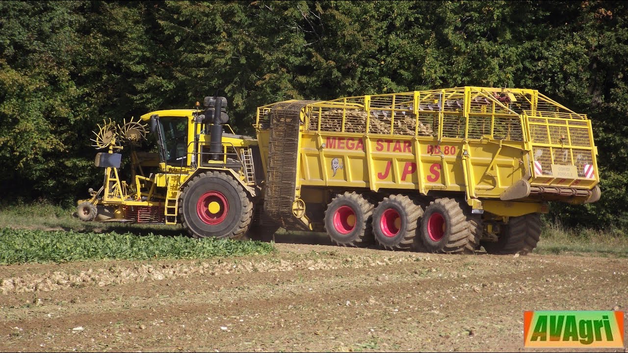 [NEWS 2015] RD 80 de chez SOYEZ à la récolte des betteraves en 12 rangs [DJI & PNJ]