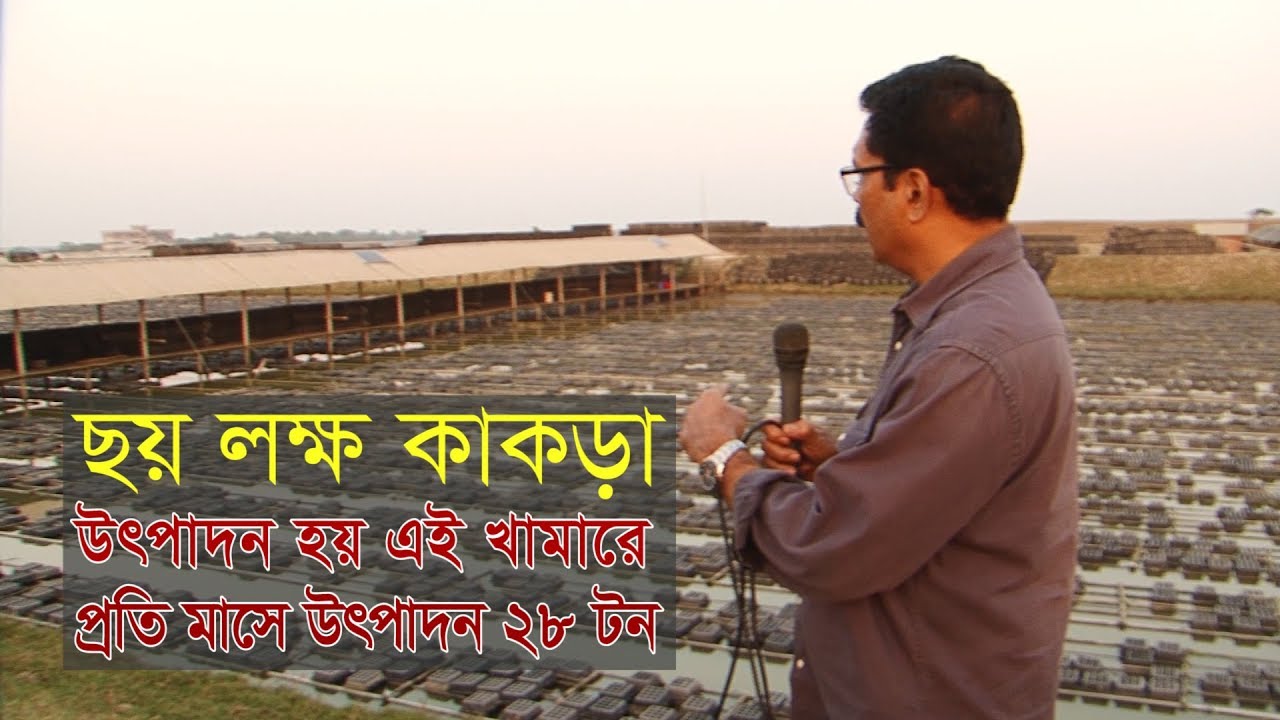 ৬ লক্ষ কাঁকড়ার খামার। Crab farm