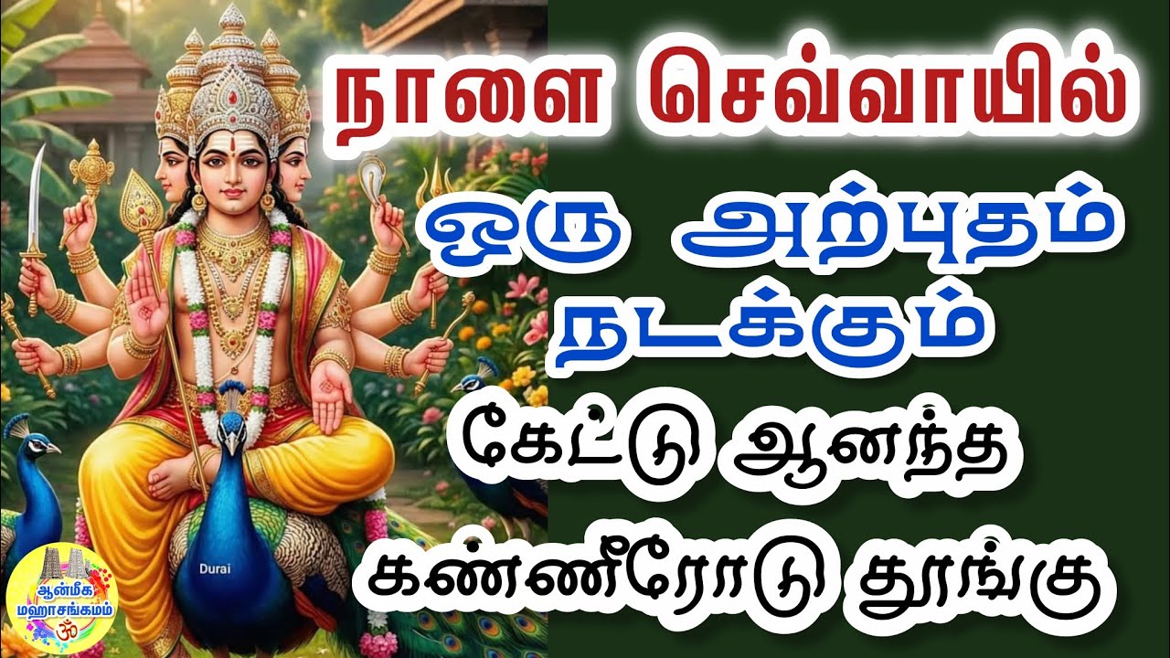 ✨️நாளை செவ்வாயில் ஒரு அற்புதம் நடக்கும்🔥கேட்டு ஆனந்த கண்ணீரோடு தூங்கு✨️Murugan Speech in Tamil 💥 Vel