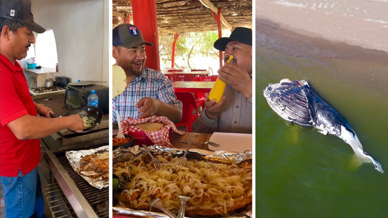 AQUI APRENDIMOS A PREPARAR LOS ZARANDEADOS Y ENCONTRAMOS UNA BALLENA EN LA PLAYA 🐳