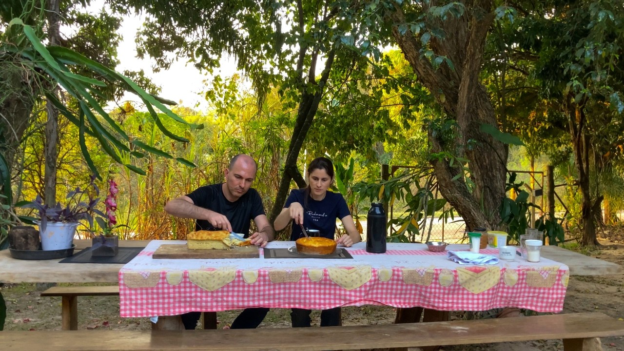 Colhemos laranjas🍊fresquinhas no p&eacute;🌳e fizemos um🍰bolo de laranja | P&atilde;o caseiro de batata doce 🍠