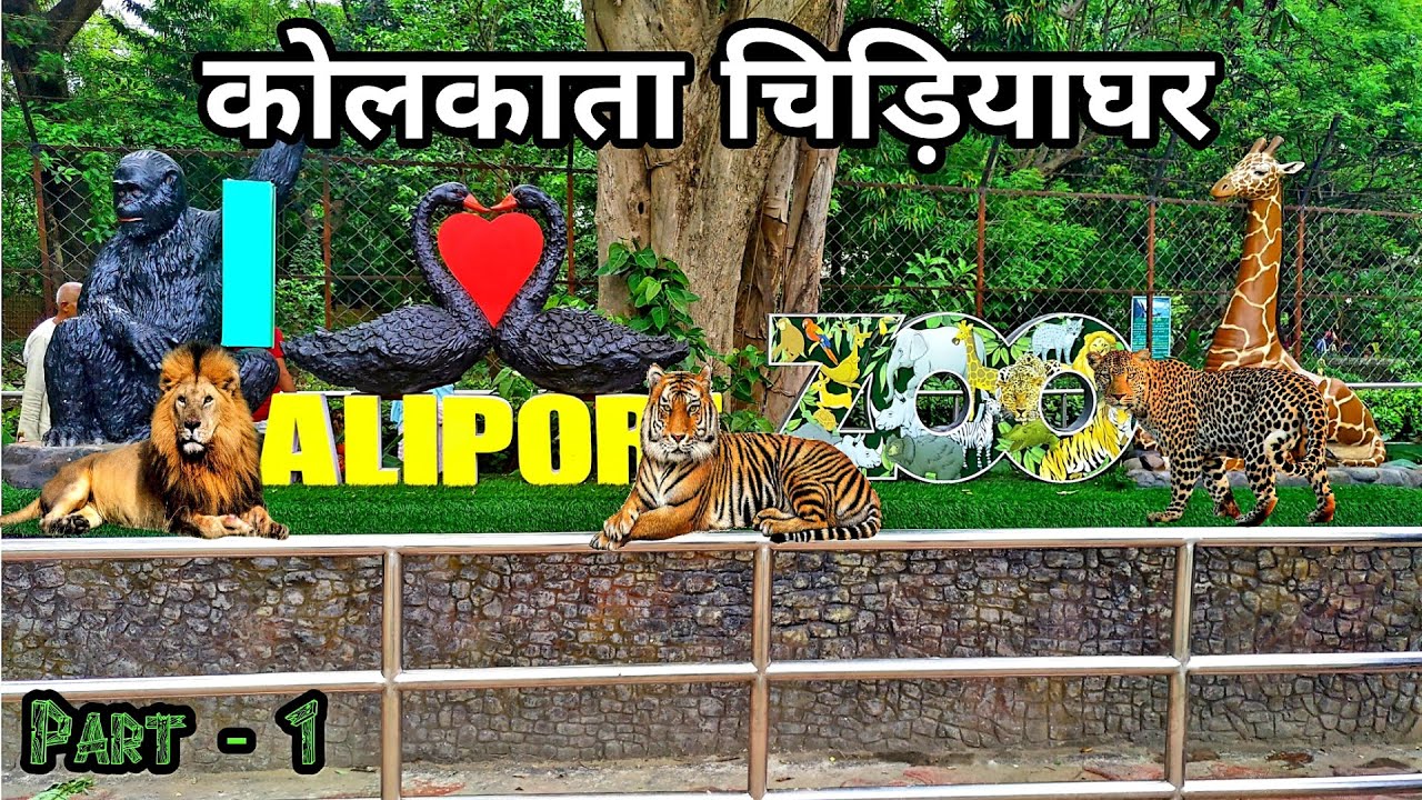 Kolkata Zoo | Zoological Garden Alipore | कोलकाता चिड़ियाघर | Kolkata West Bengal