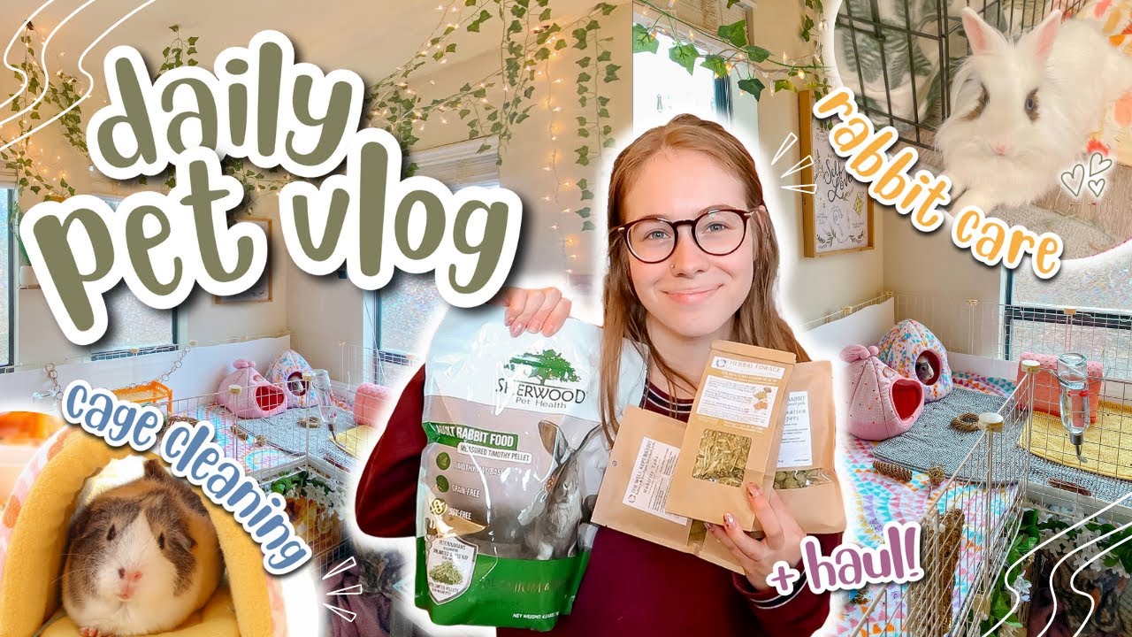 DAILY PET VLOG | Rabbit Care, Guinea Pig Cage Cleaning, Haul & More!