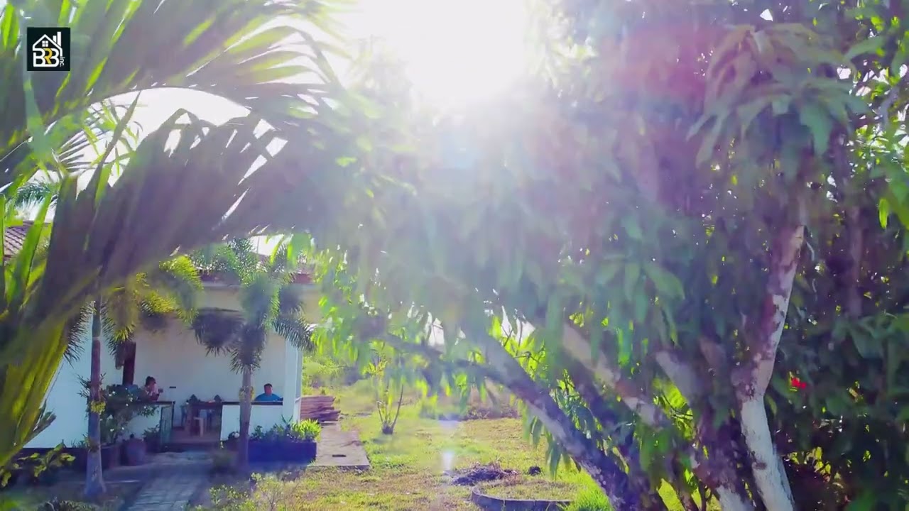 (SOLD) FARM HOUSE FOR SALE. | 3 HECTARES | TITLED PROPERTY | CARMEN BOHOL | MARKDOWN PRICE 10.5M
