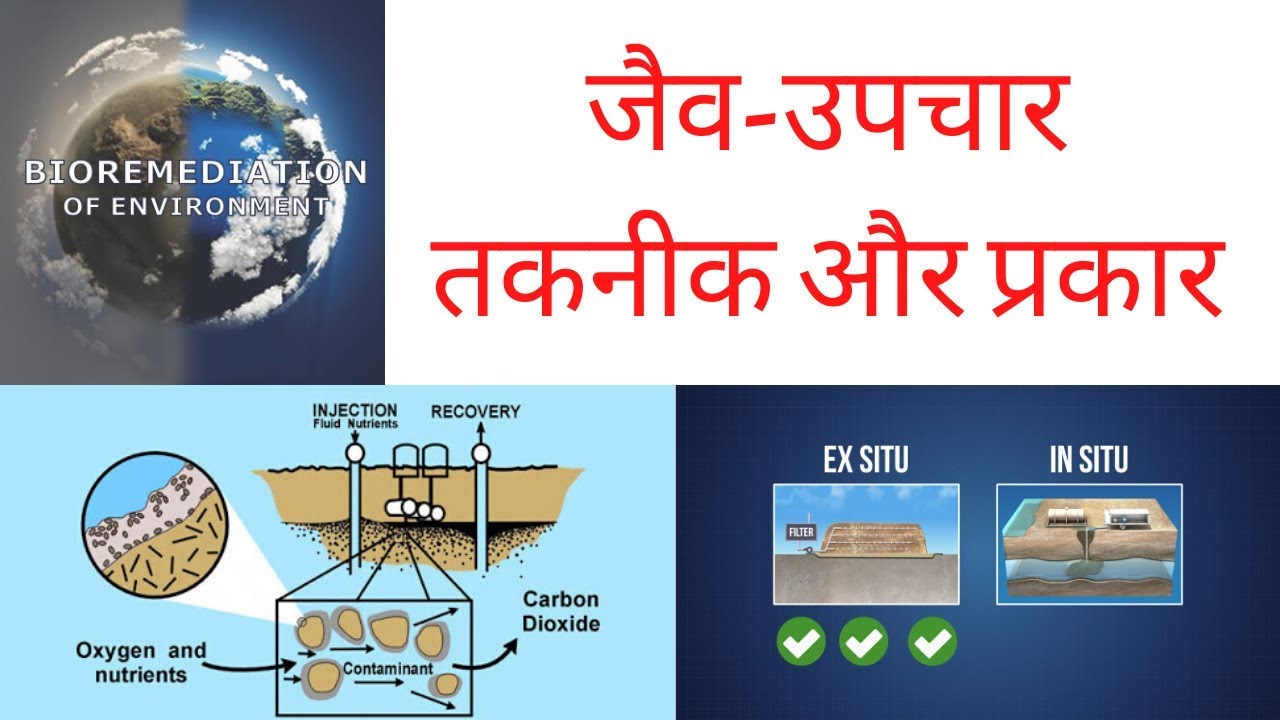 Bio-remediation क्या है? Insitu, Exsitu और प्रकार