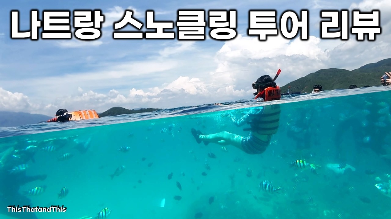 [베트남 나트랑] 스노클링 예약 전 필수 시청! 싸고 쉽게 예약하는 법 알려드려요~