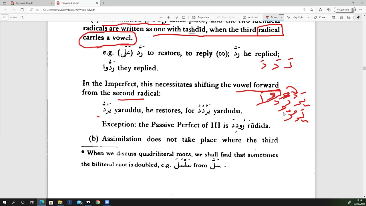 Arabic Double Verbs | Interactive Arabic Class