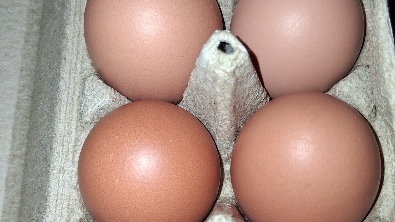 🍳🥚🍳SUNNY SIDE UP EGGS FOR LUNCH TODAY 😋😋😋 WITH JOE REMEMBER TO LIKE 👍 AND 🌎🎙👁SUBSCRIBE. 💯😎💯
